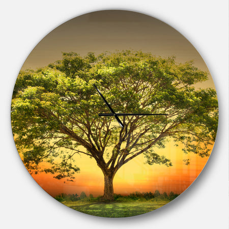 Green Tree against Setting Sun - Oversized Traditional Wall CLock