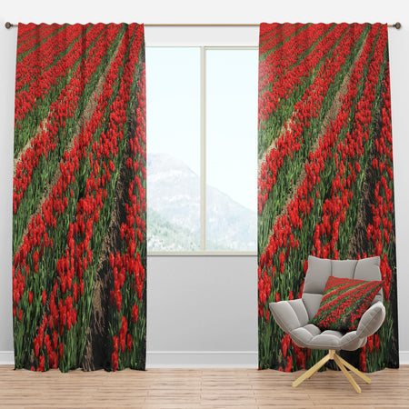 Rows of Red Tulip Flowers - Floral Curtain Panels