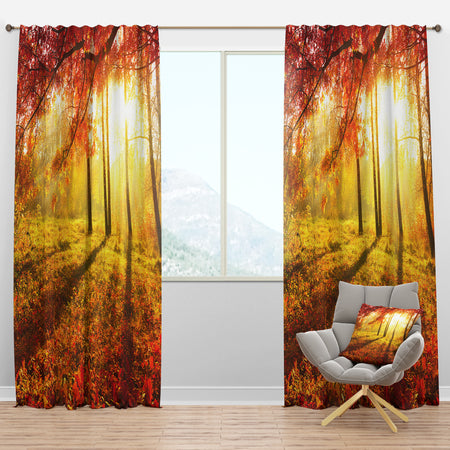 Yellow Red Fall Trees and Leaves - Landscape Curtain Panels