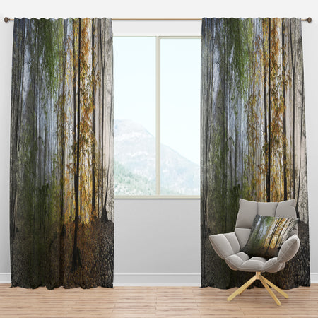 Morning Forest Panoramic View - Landscape Photography Curtain Panels