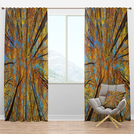 Tree Tops in Autumn Forest - Forest Curtain Panels