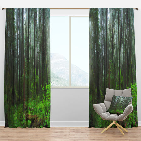 Hoh Rain Forest - Landscape Photography Curtain Panels