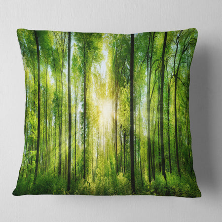 Forest with Rays of Sun Panorama - Landscape Printed Throw Pillow