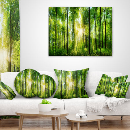 Forest with Rays of Sun Panorama - Landscape Printed Throw Pillow