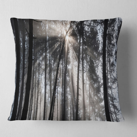Sunbeams through Black White Forest - Forest Throw Pillow