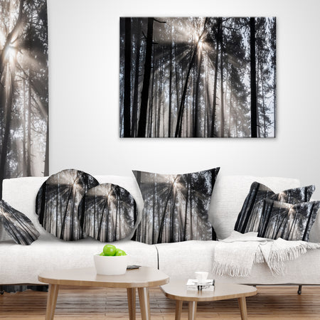 Sunbeams through Black White Forest - Forest Throw Pillow