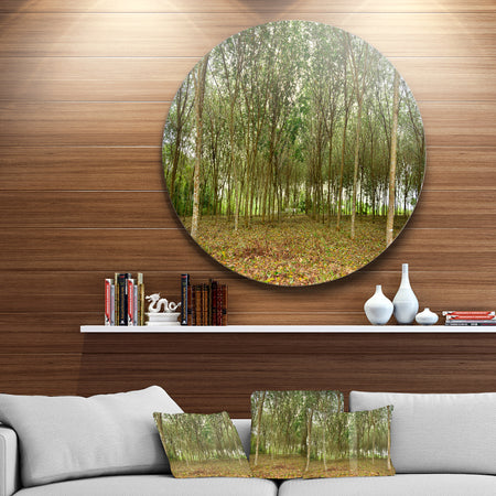 Rubber Tree Plantation during Midday - Landscape Circle Wall Art
