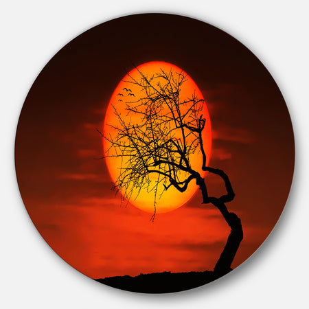 Birds and Tree Silhouette at Sunset - Disc Metal Wall Art Landscape