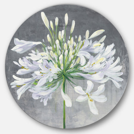 Flower Cleome Splash I - Farmhouse Metal Circle Wall Art