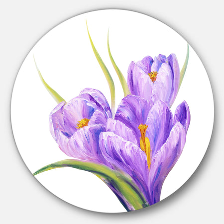 Crocuses in White Background - Floral Glossy Large Disk Metal Wall Art
