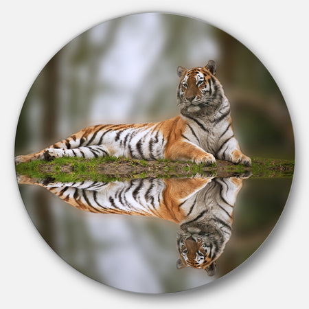 Tiger Reflecting in Water - Animal Photography Round Wall Art