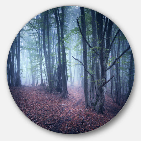 Mysterious Fairytale Wood - Landscape Photo Disc Metal Artwork