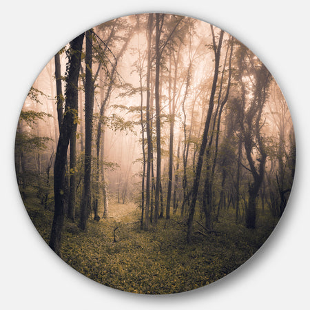 Dark Old Spring Forest - Landscape Photo Circle Wall Art