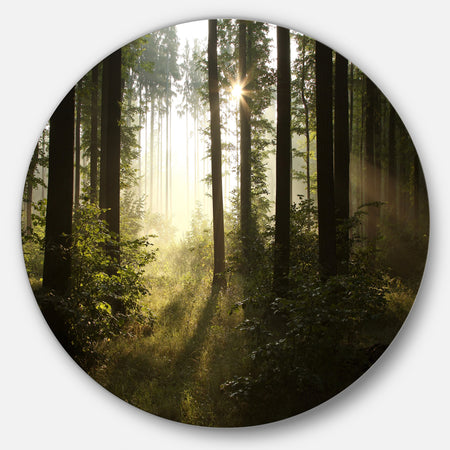 Early Morning Sun in Misty Forest - Landscape Photo Round Metal Wall Art