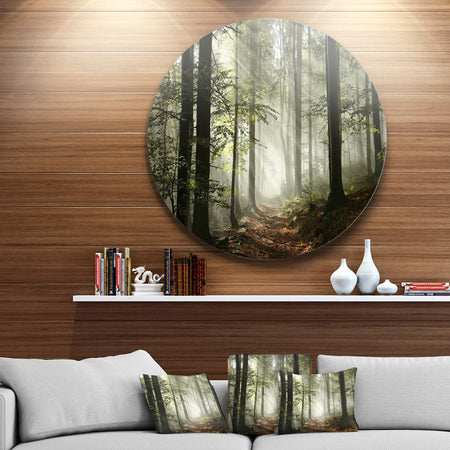 Light in Dense Fall Forest with Fog - Landscape Large Circle Metal Wall art