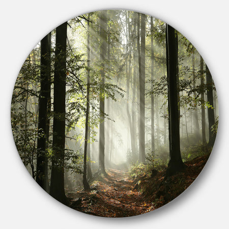 Light in Dense Fall Forest with Fog - Landscape Large Circle Metal Wall art