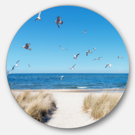 Beach with Seagulls in Rugen Island - Seashore Disc Metal Artwork