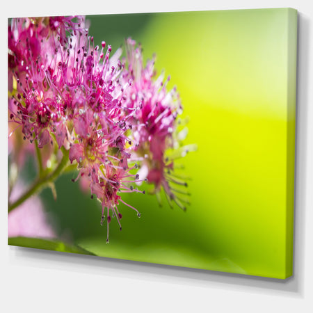 Pink Little Flowers in Green - Floral Canvas Art Print