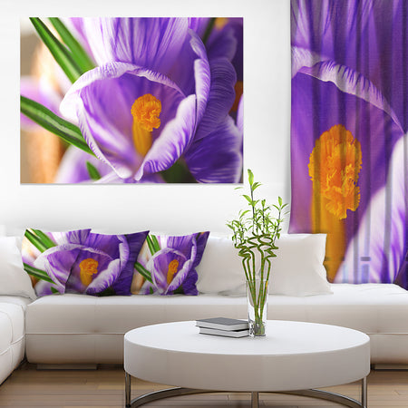 Blooming Crocus Flower - Large Floral Wall Art Canvas
