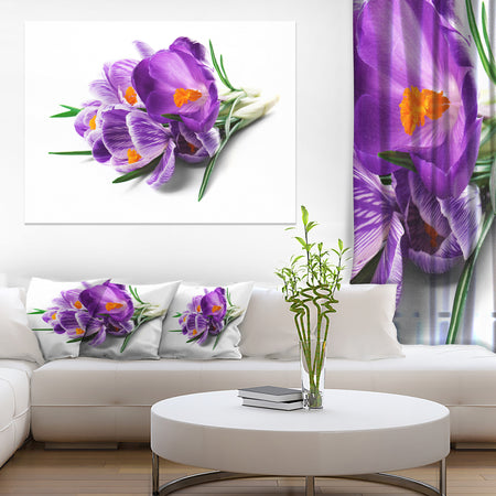 Bunch of Blooming Crocus Flowers - Large Floral Wall Art Canvas