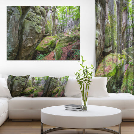 Wild Deep Moss Forest Ukraine - Landscape Art Print Canvas