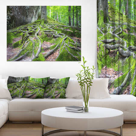 Deep Moss Forest in Ukraine - Landscape Art Print Canvas