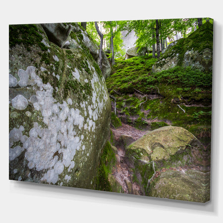 Large Rocks in Deep Moss Forest - Landscape Art Print Canvas