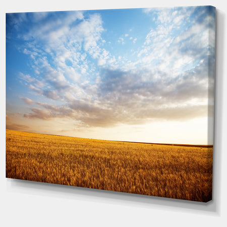 Wheat Field under Summer Sky - Extra Large Wall Art Landscape