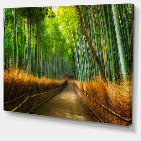 Arashiyama Bamboo Grove Japan - Oversized Forest Canvas Artwork