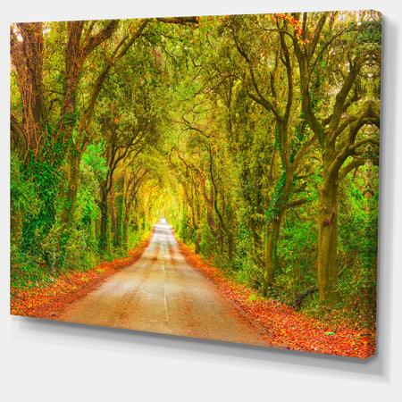 Fall Greenery and Road Straight Ahead - Oversized Forest Canvas Art