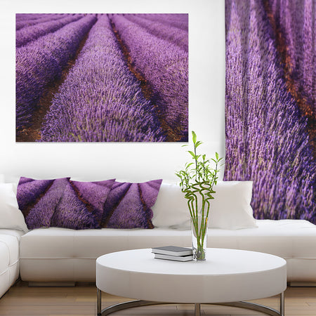 Endless Rows of Lavender Field - Oversized Landscape Wall Art Print