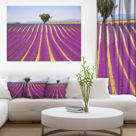 Lavender and Lonely Tree Uphill - Oversized Landscape Wall Art Print