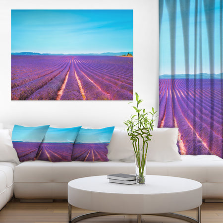 Lavender Flowers and Clear Sky - Oversized Landscape Wall Art Print