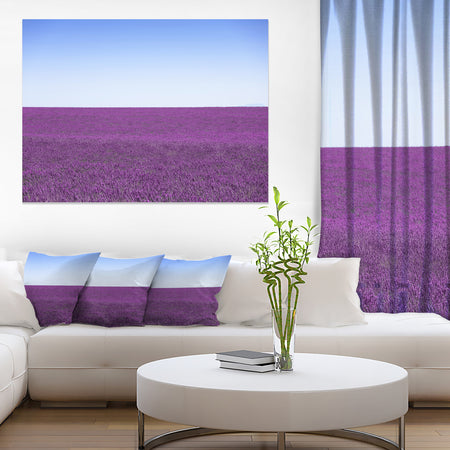 Lavender Flowers with Blue Horizon - Oversized Landscape Wall Art Print
