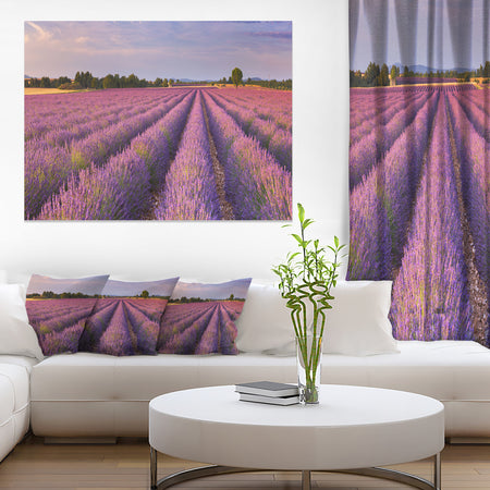 Lavender Flower Rows in France - Landscape Art Canvas Print