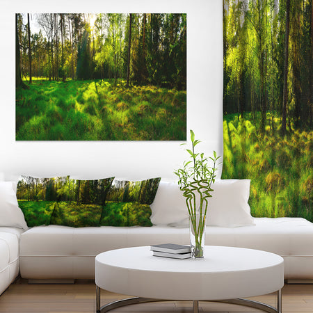 Green Forest Sunset Panorama - Landscape Artwork Canvas