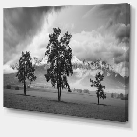 Three Trees in Front of Mountains - Landscape Artwork Canvas