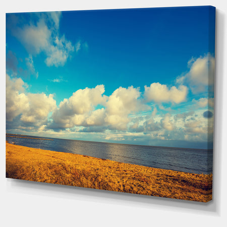 Deserted Brown Sea Coastline - Landscape Artwork Canvas