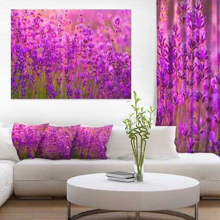 Bright Purple Lavender Field Tihany - Large Floral Canvas Art Print
