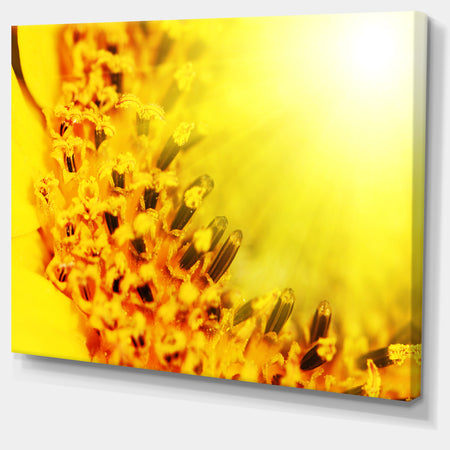 Bright Yellow Sunflower Close-Up - Floral Artwork on Canvas