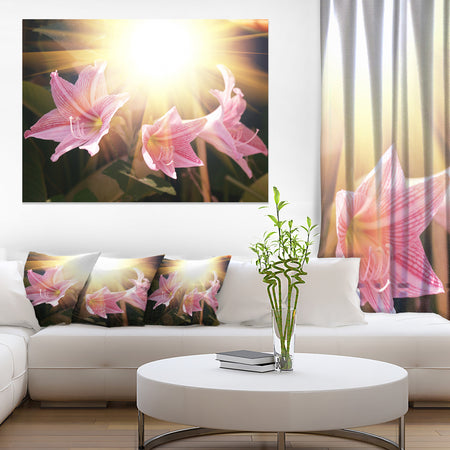 Large Pink Flowers with Sunlight - Large Flower Wall Artwork