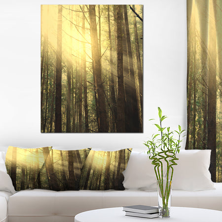 Dense Green Sunny Forest - Landscape Art Print Canvas