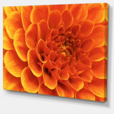 Large Orange Flower and Petals - Floral Canvas Art Print