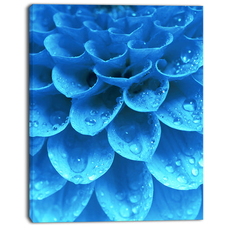 Large Light Blue Flower and Petals - Modern Floral Canvas Wall Art