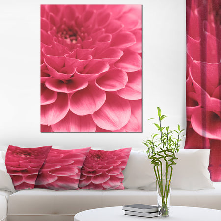 Soft Rose Abstract Flower Petals - Modern Floral Canvas Wall Art