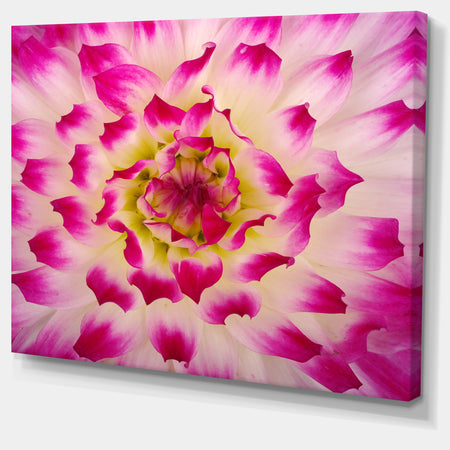 Smooth White Rose Flower Petals - Modern Floral Canvas Wall Art