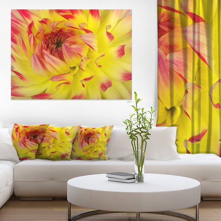 Smooth Yellow Red Flower Petals - Extra Large Floral Canvas Art
