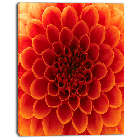 Close-Up Orange Flower Petals - Extra Large Floral Canvas Art