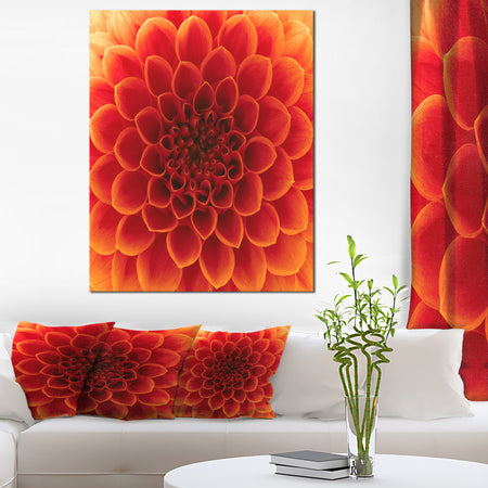Close-Up Orange Flower Petals - Extra Large Floral Canvas Art
