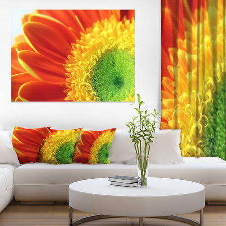 Gerber Daisy Flower Petals - Extra Large Floral Canvas Art